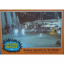 Card N° 265