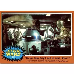 Card N° 271