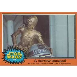 Card N° 278