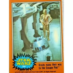Card N° 294