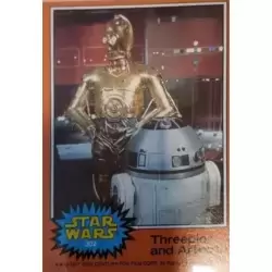 Card N° 302