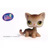 LPS 19