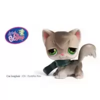 LPS 20