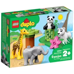 Baby Animals