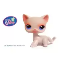 LPS 64