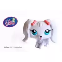 LPS 65