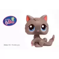 LPS 66