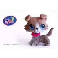 LPS 67