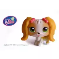 LPS 79