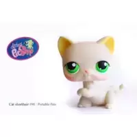 LPS 98
