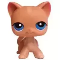 LPS 228
