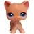 LPS 228