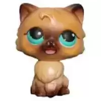 MM3