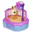 Littlest Pet shop - Generation 1 - MM6