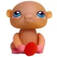 PP3