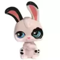 PP4