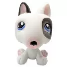 Littlest Pet shop - Generation 1 - No Number