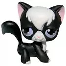 Littlest Pet shop - Generation 1 - No Number