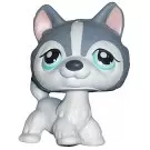 Littlest Pet shop - Generation 1 - No Number