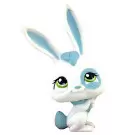 Littlest Pet shop - Generation 1 - No Number