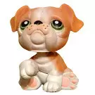 Littlest Pet shop - Generation 1 - No Number