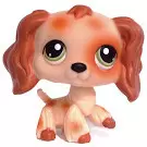 Littlest Pet shop - Generation 1 - No Number