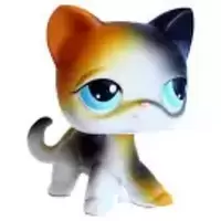 LPS 106