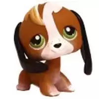LPS 113