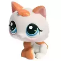 LPS 134
