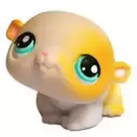 LPS 137