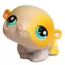 LPS 137