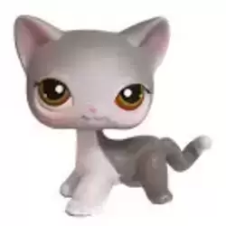 LPS 138