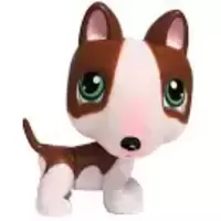 LPS 154