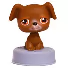 Littlest Pet shop - Génération 1 - LPS 173