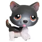 Littlest Pet shop - Génération 1 - LPS 174