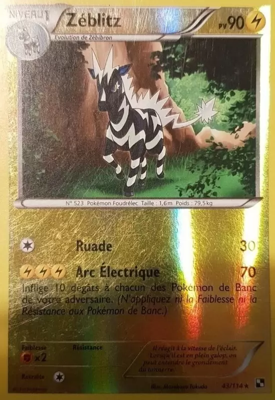 Pokémon Série Noir et Blanc - Zéblitz Reverse