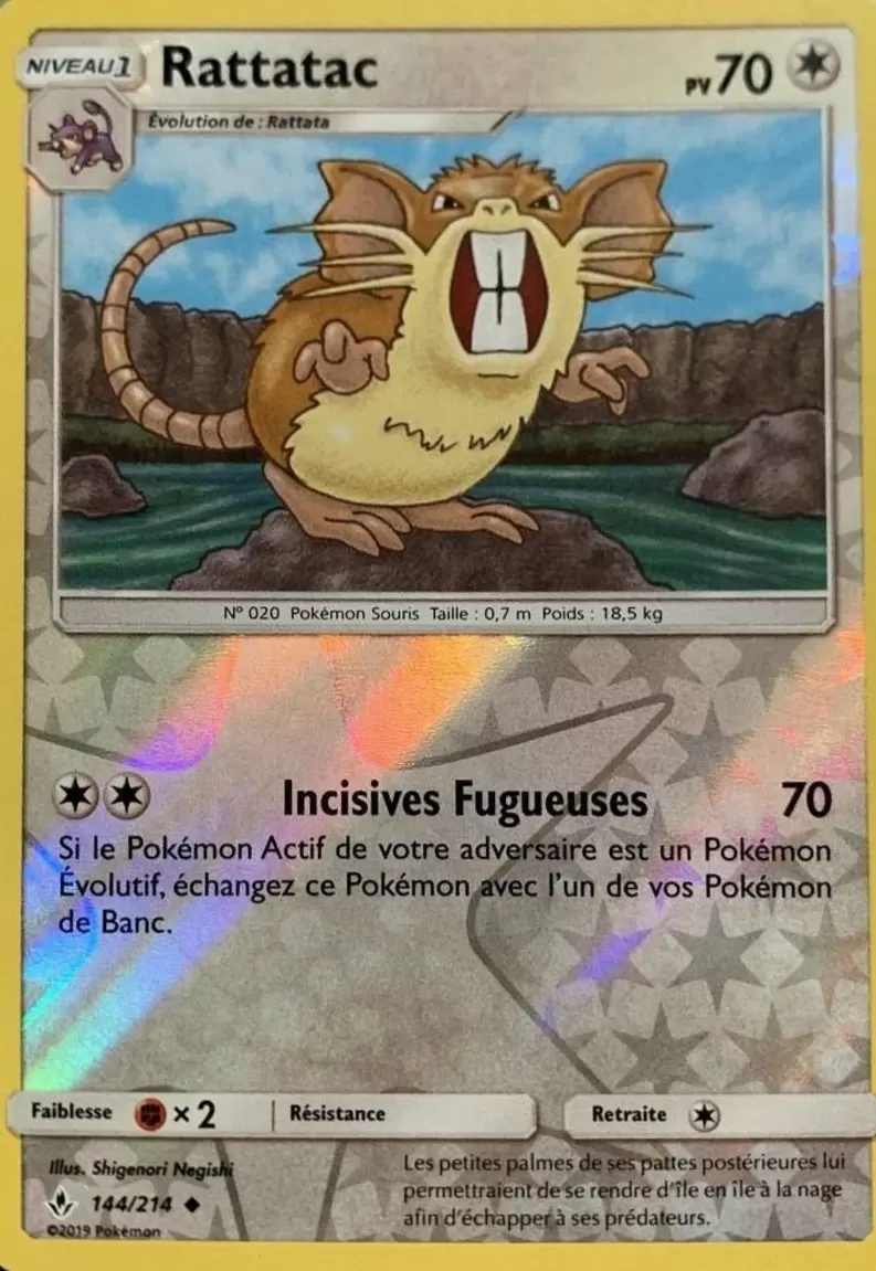 Alliance Infaillible - Rattatac Reverse