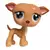 LPS 498