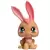 LPS 506