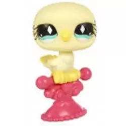LPS 512
