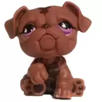 LPS 881