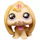 Littlest Pet shop - Generation 2 - No Number