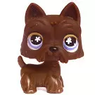Littlest Pet shop - Generation 2 - No Number