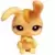 LPS 1107