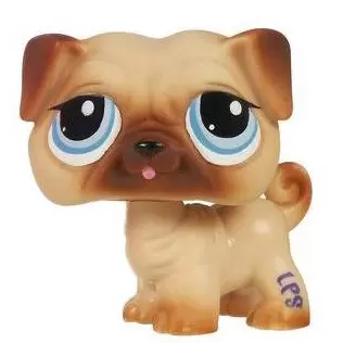 Littlest pet 2024 shop pug