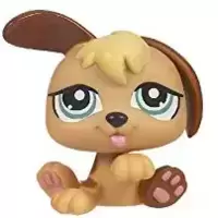 LPS 1340