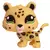 LPS 1419