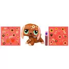 Littlest Pet Shop - Generation 3 - No Number