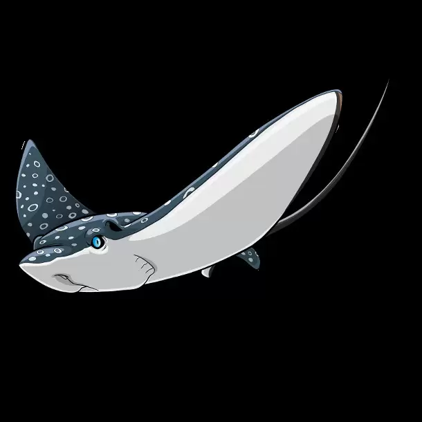 Shark & Co. Maxi Edition New Edition - Aetobatus Narinari