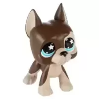 LPS 817